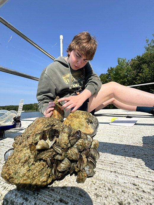 A photo of an object encrusted with a clump of small mussels in the foreground and a teenage boy in the background reaching for the object.